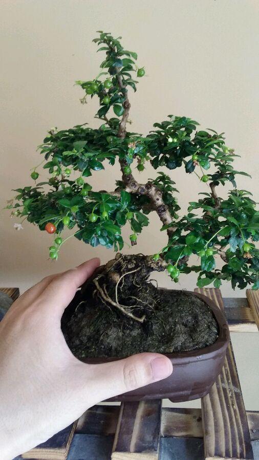 福建之光，高科技产品引领未来，科技改变生活