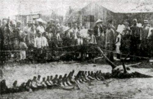 探寻营口城市的独特魅力